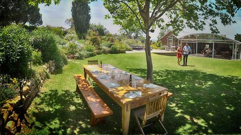 McLaren Vale Winery Experience Tour from Adelaide