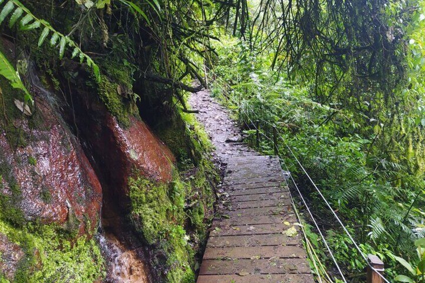 Day Trip to La Chorrera Park—Hiking Experience to Highest Waterfall in Colombia