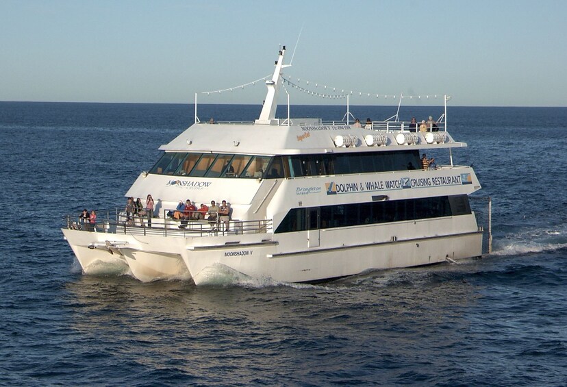 Port Stephens Whale-Watching Tour