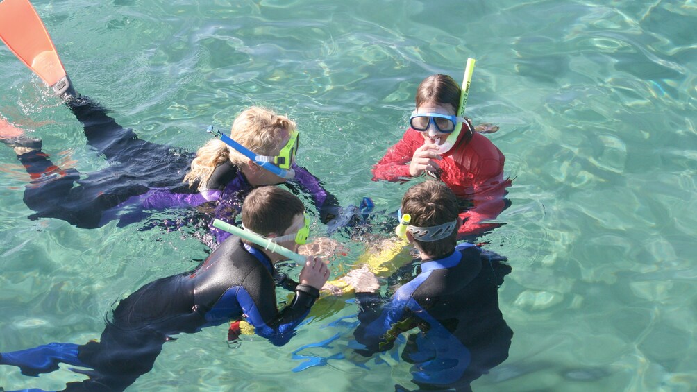 Show item 4 of 5. Group of snorkelers in Australian waters.