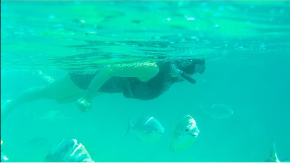 Show item 1 of 7. Glass Bottom Kayak and Snorkel at Two Bays