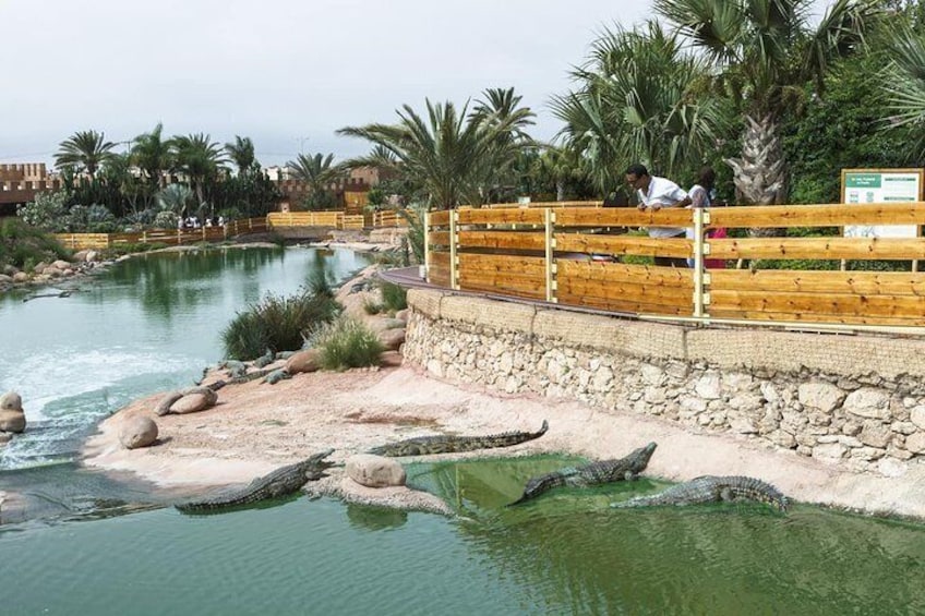Agadir Crocoparc with transfer