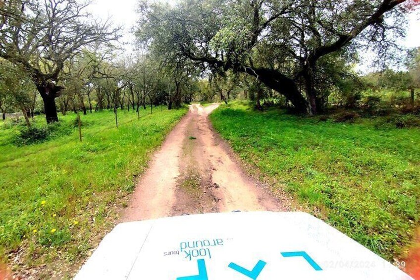 Private 4X4 Jeep Tour to Arrabida National Park from Lisbon