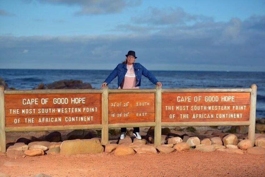 Half Day Boulders Penguins and Cape Point Shared Tour