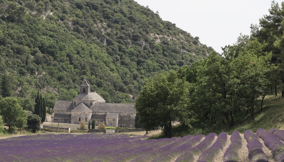 Market and Villages of the Luberon Full-Day Tour