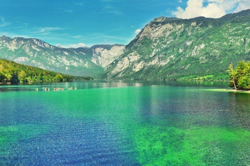 Private Bohinj & Vogel Tour from Bled