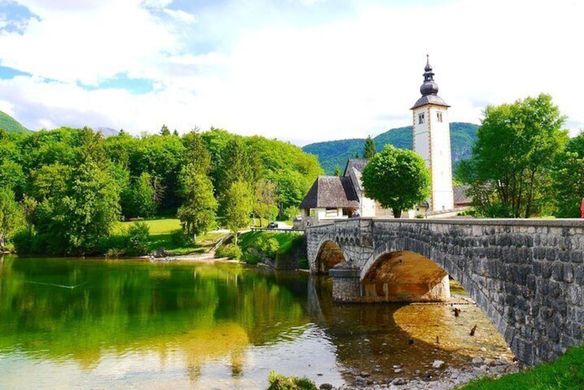 Private Bohinj & Vogel Tour from Bled