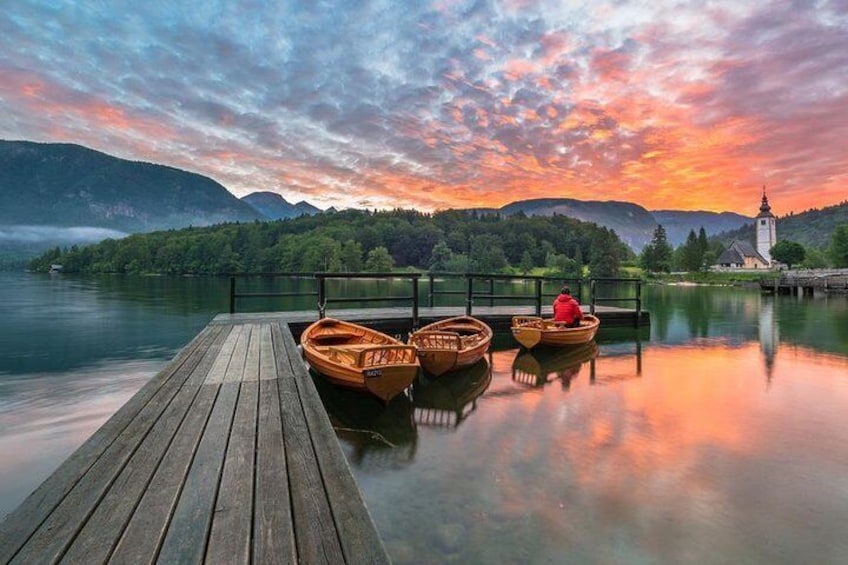 Private Bohinj & Vogel Tour from Bled