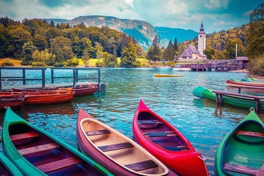 Private Bohinj & Vogel Tour from Bled