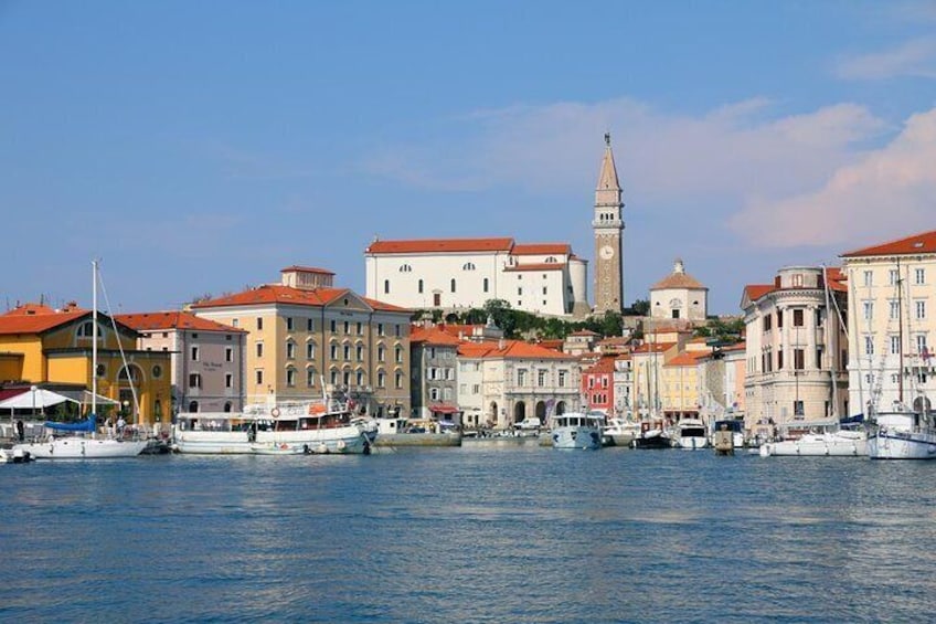 Tour of Slovenian Coast from Bled