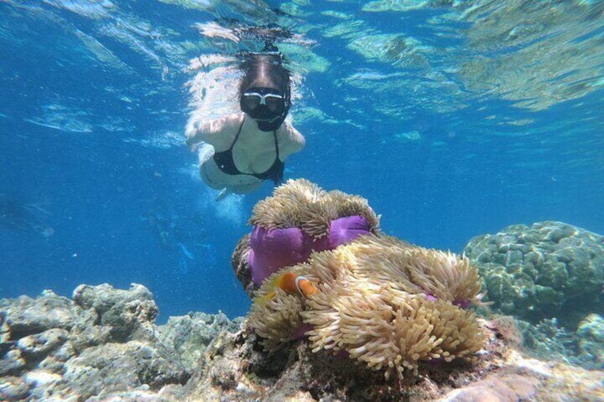 Snorkeling Tour at Blue Lagoon with Private Hotel Transfer 
