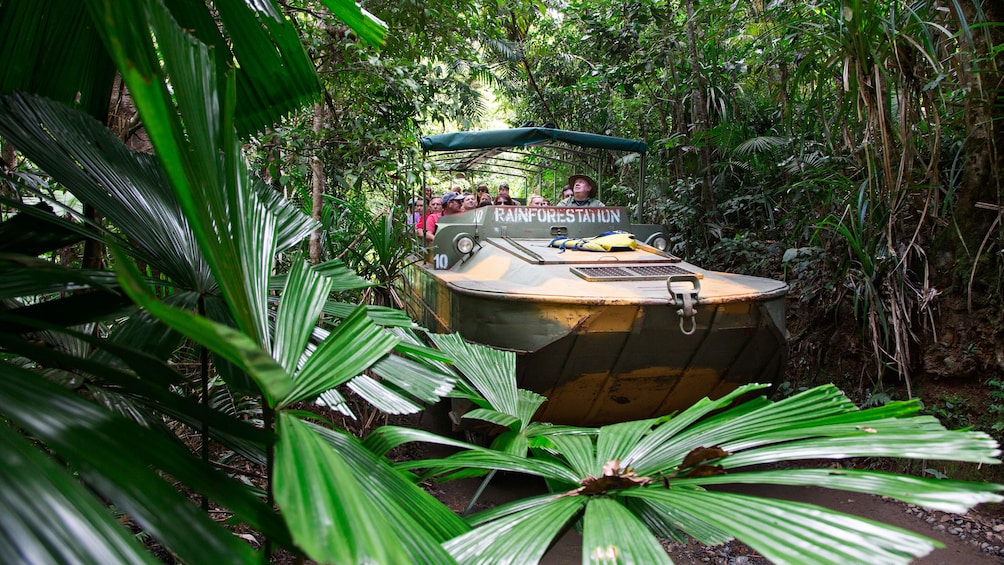 passengers aboard amphibious DUKW drive through jungles in Cairns