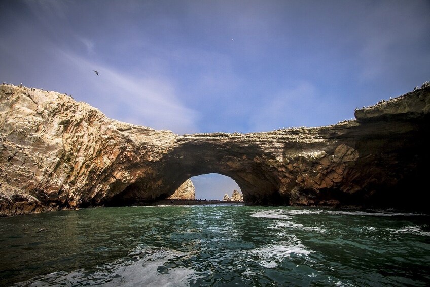 Ballestas Islands Sigthseeing Tour