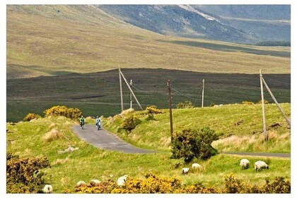 Wild Atlantic Way Luxury Bike Safari.For that special occasion and person.