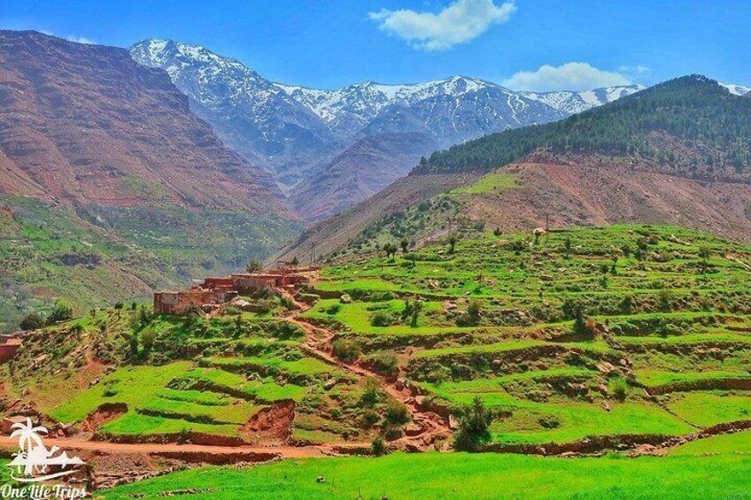 Atlas Mountains and Three Valleys & Waterfalls: Guided Day Trip from Marrakech