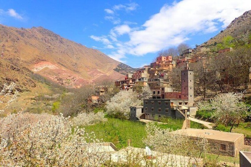 Atlas Mountains and Three Valleys & Waterfalls: Guided Day Trip from Marrakech