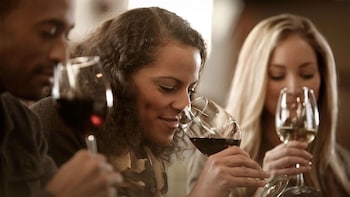 Small-Group Countryside & Wine Full-Day Tour from Cannes