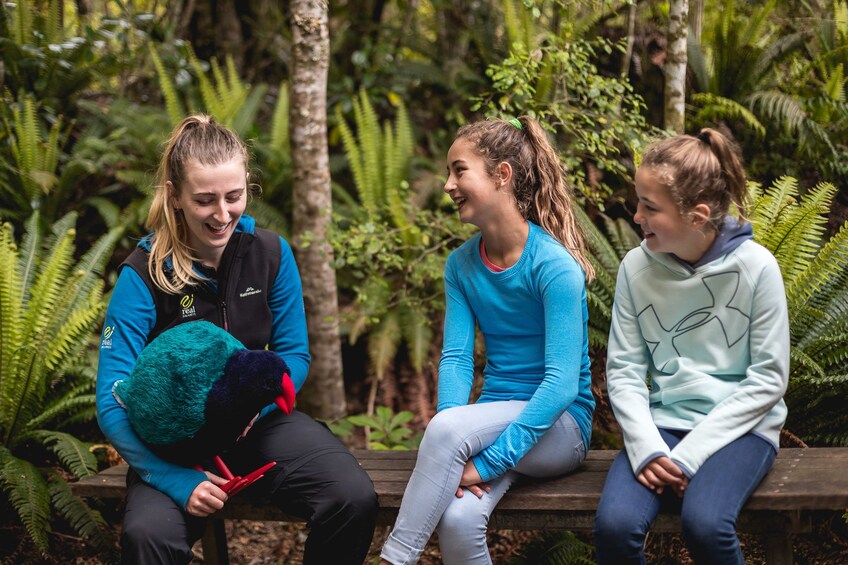 Te Anau Glowworm Caves Tour