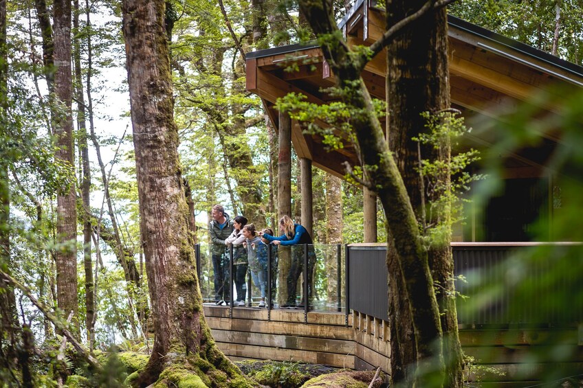 Te Anau Glowworm Caves Tour