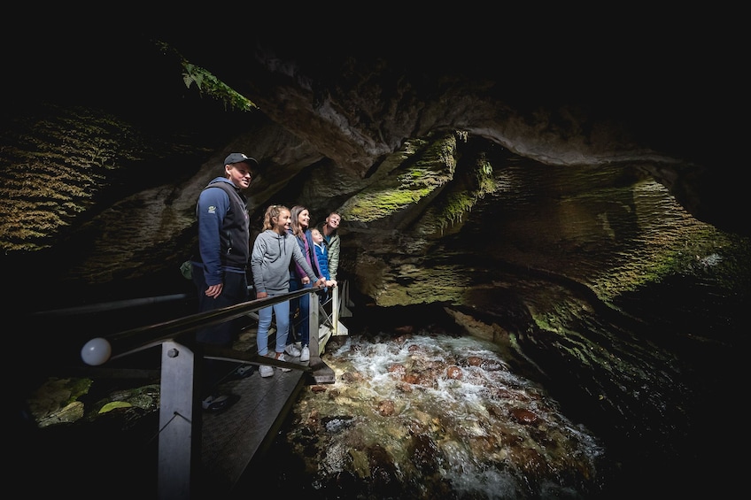 Te Anau Glowworm Caves Tour