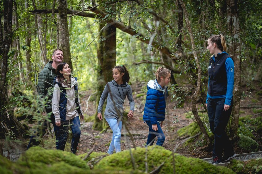 Te Anau Glowworm Caves Tour