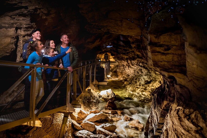 Te Anau Glowworm Caves Tour