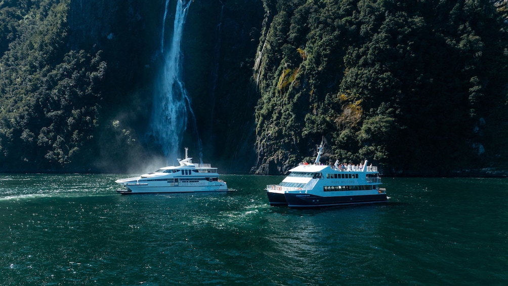 1 hour 45 minute Milford Sound Cruise