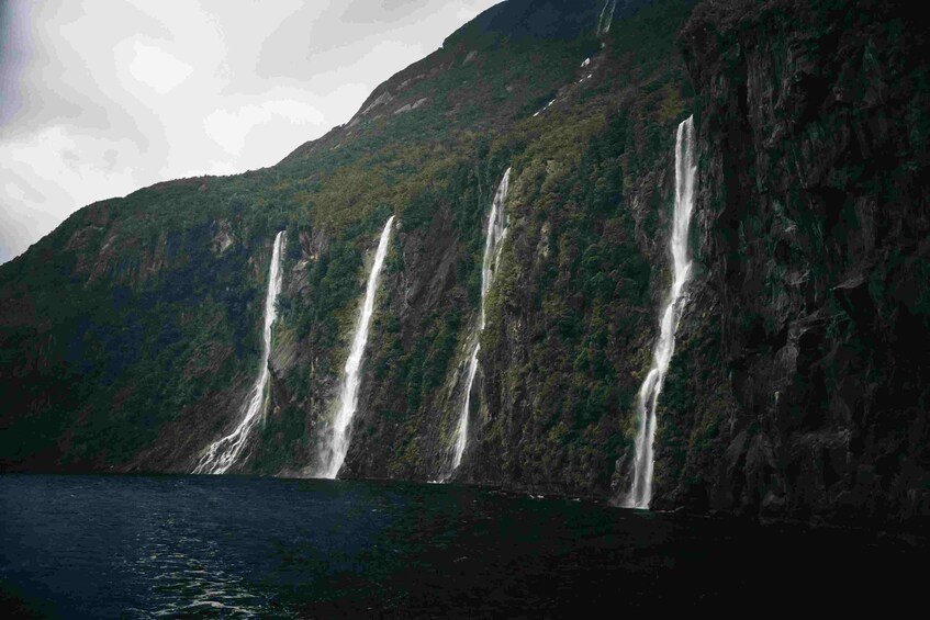 1 hour 45 minute Milford Sound Cruise