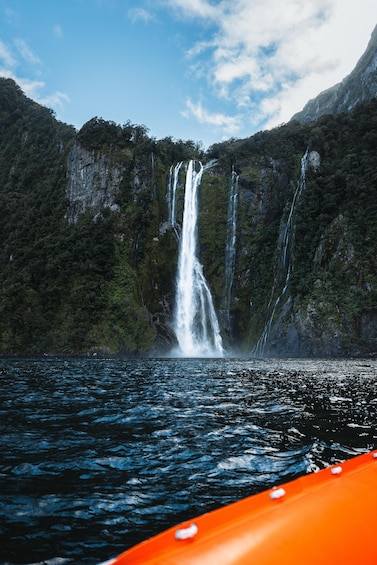 1 hour 45 minute Milford Sound Cruise