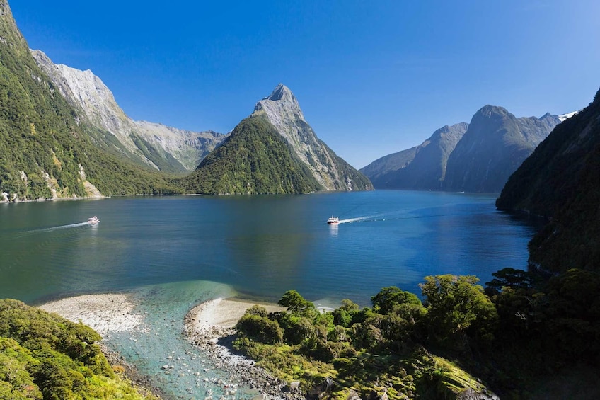 Milford Sound Nature Cruise