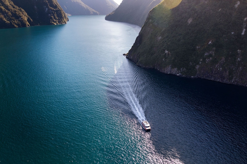 Show item 4 of 9. Milford Sound Nature Cruise