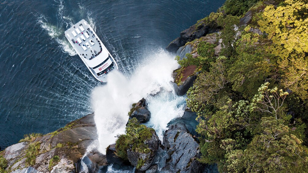 Milford Sound Nature Cruise