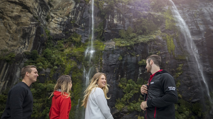 Milford Sound Nature Cruise