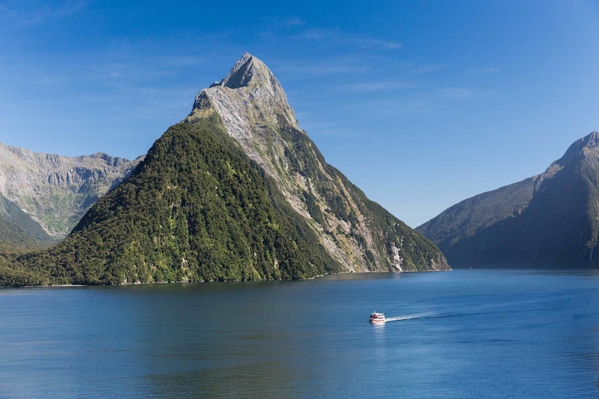 Milford Sound Cruise with Underwater Observatory and Lunch