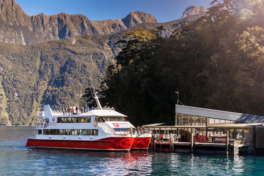 Milford Sound Cruise with Underwater Observatory and Lunch