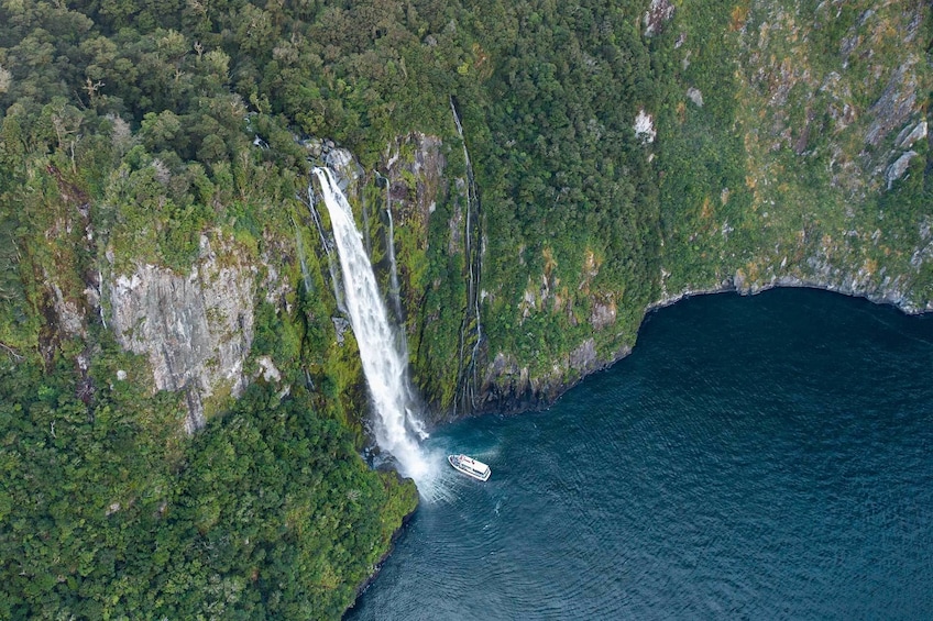 Milford Sound Cruise with Underwater Observatory and Lunch