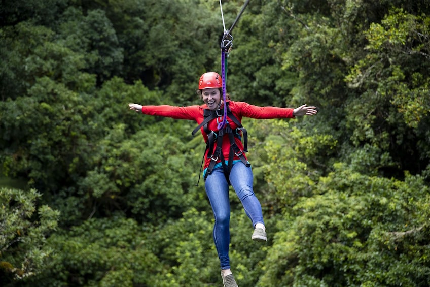 Show item 1 of 7. Original Canopy Tour