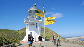 Dune Rider Cape Reinga Tour