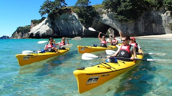 Classic Half-Day Kayak Tour