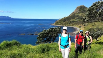 Coromandel Coastal Walkway Day Tour
