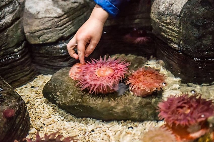 SEA LIFE San Antonio