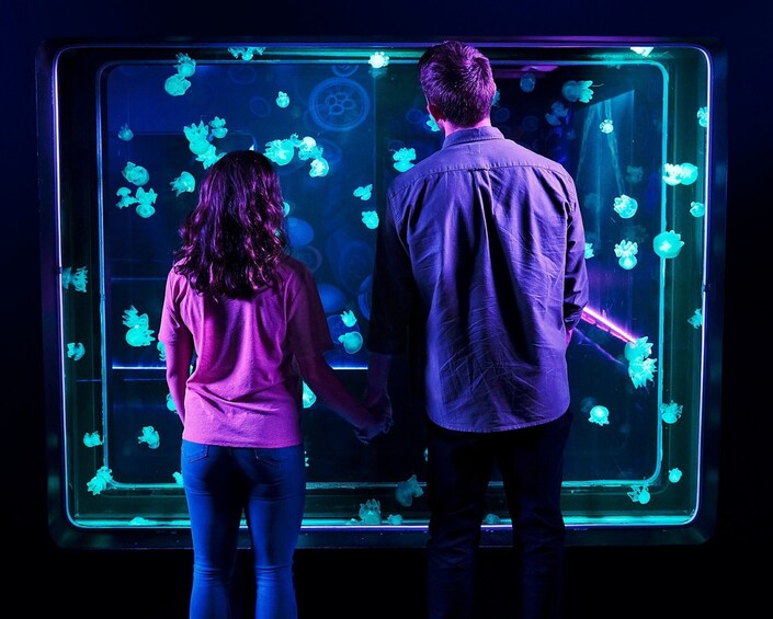 SEA LIFE San Antonio