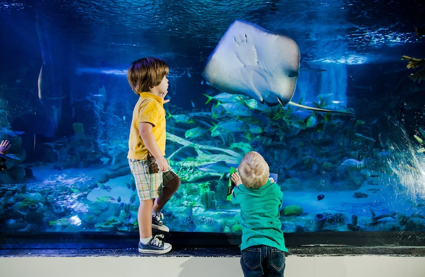 SEA LIFE San Antonio