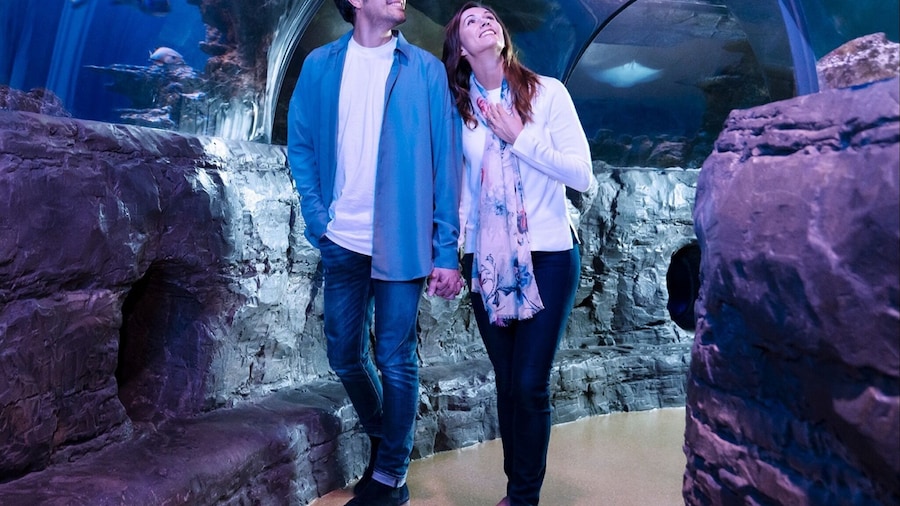 SEA LIFE San Antonio