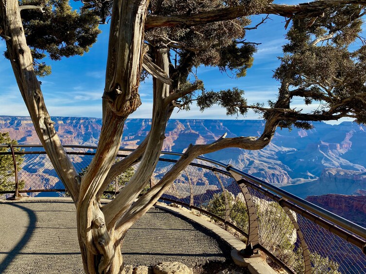 Grand Canyon National Park Tour, Majestic South Rim