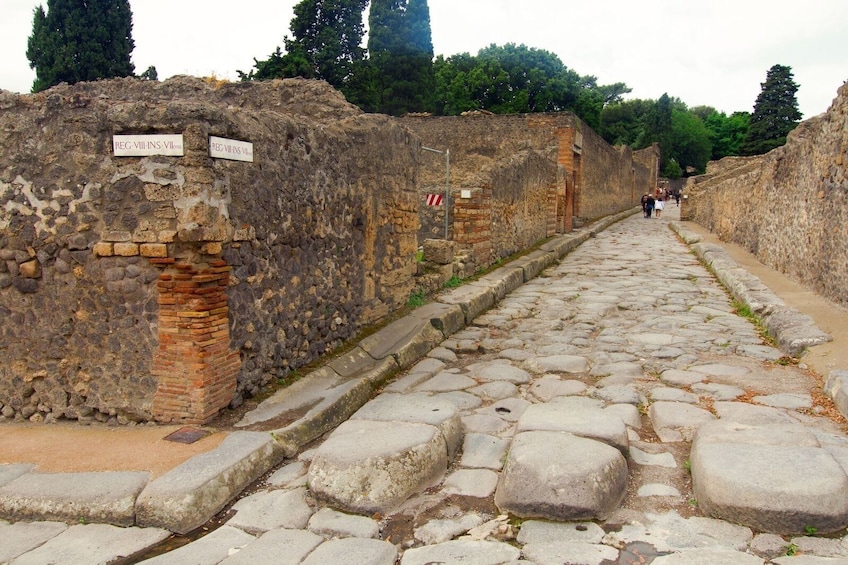 Pompeii Small-Group Tour