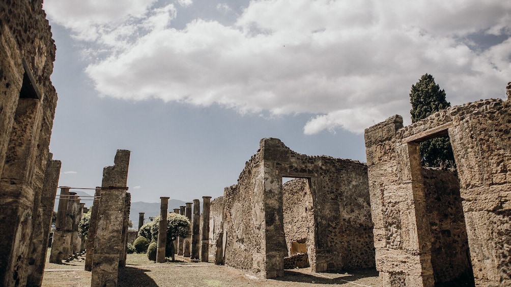 Complete Pompeii Skip the Line Tour with Archaeologist Guide
