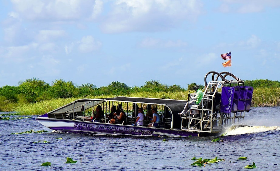 Everglades Excursion