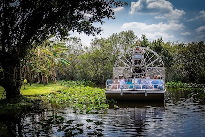 Tour de aventura por los Everglades con hidrodeslizador descapotable