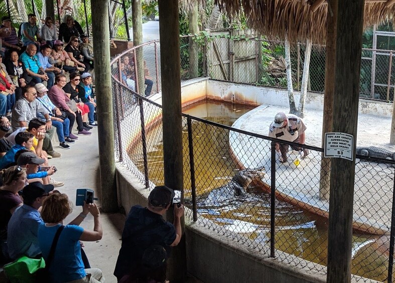 Everglades Adventure Tour From Miami in a Luxury Bus